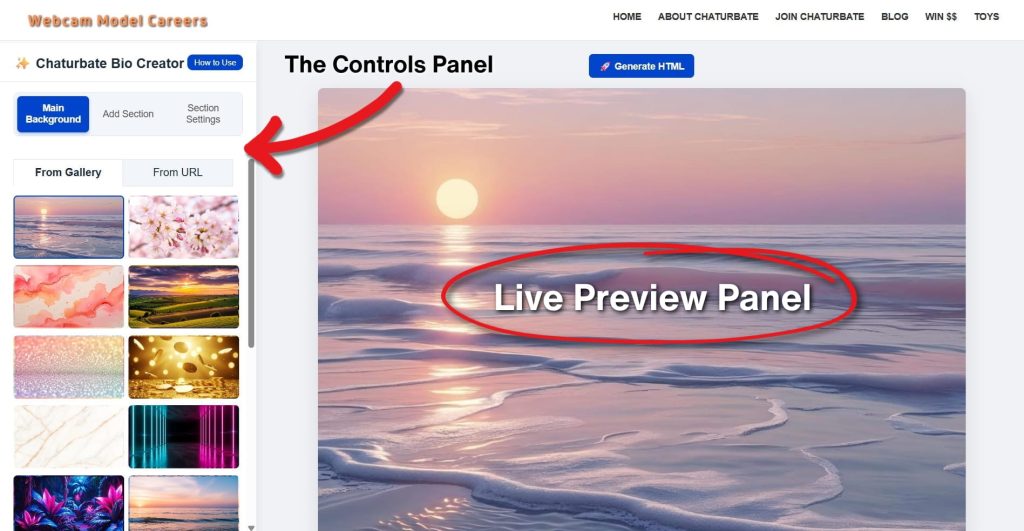 Chaturbate profile generator tool image showing the Controls Panel on the left and the Live Preview Panel on the right